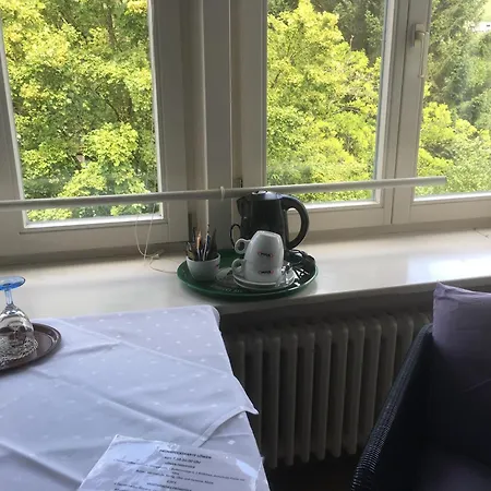 Gasthaus zum Löwen - Restaurant Akropolis-2